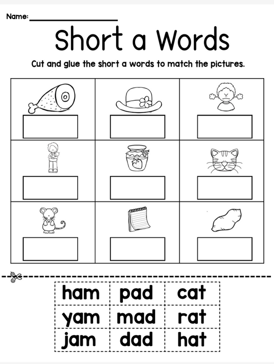 CVC Cut and Paste
