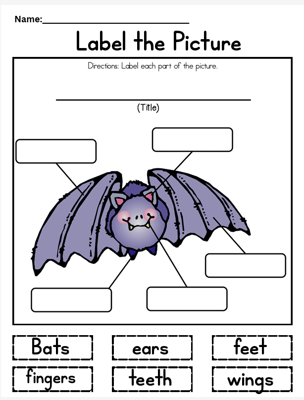 Writing: Bats
