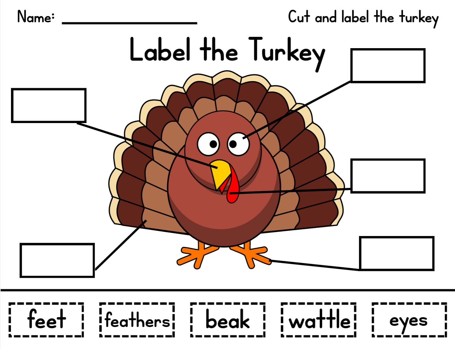 Writing: Turkey