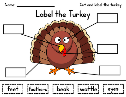 Writing: Turkey