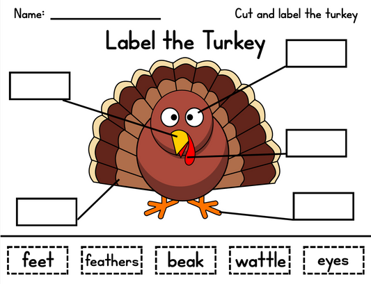 Writing: Turkey (with craft pieces)