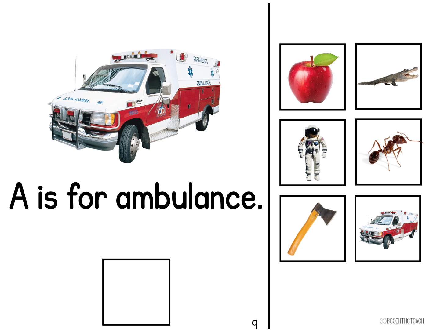 Alphabet Letter Books Members Only